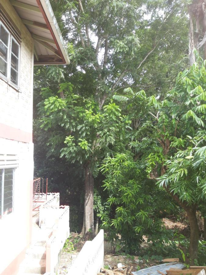 Cocoa Cabana สการ์โบโร ภายนอก รูปภาพ